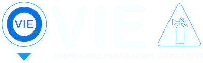 logo v-i-e